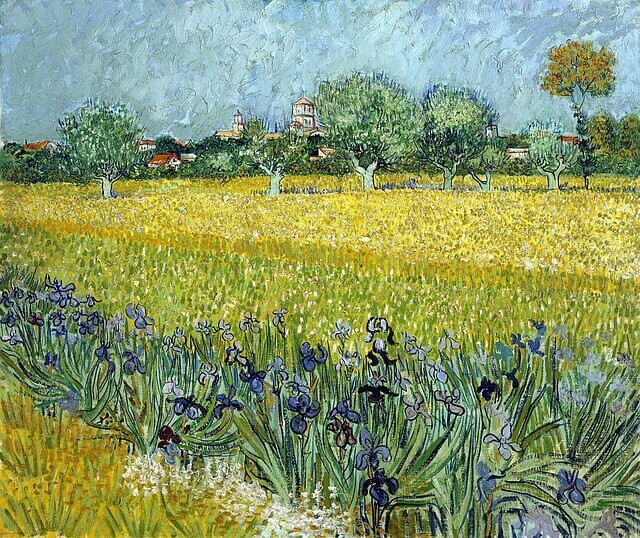 Van Gogh, Field with Irises at Arles - May 1888